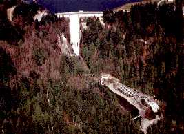 Capilano Hatchery